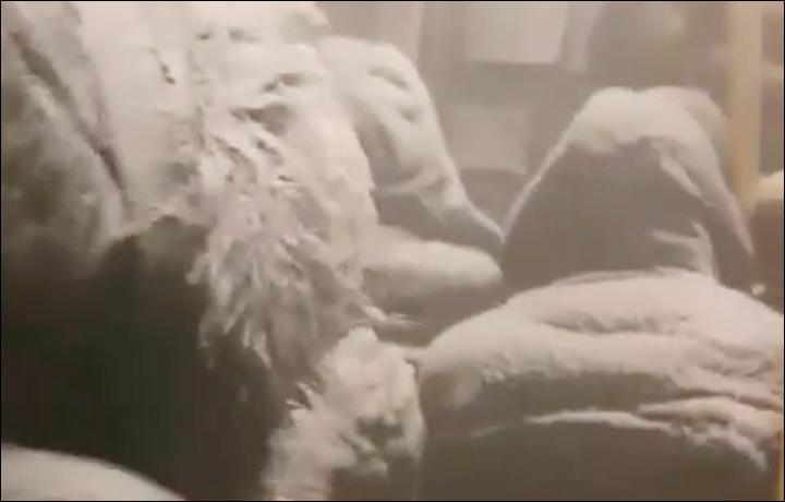 Imaginea articolului VIDEO | Zeci de pasageri, blocaţi într-un autobuz în Siberia, transformaţi de viscol în „oameni de zăpadă”. Afară erau -26 de grade Celsius