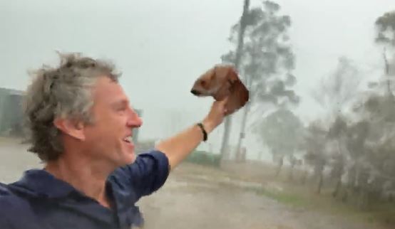 Imaginea articolului Reacţia nepreţuită a unui fermier din Australia, în timp ce ploua torenţial: „Iubitele mele vaci” - FOTO şi VIDEO