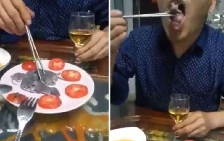 Imaginea articolului Noi imagini cu asiatici mâncând animale vii. În ce constă „Trei chiţăituri”, delicatesa ce poate fi găsită doar în anumite restaurante - VIDEO