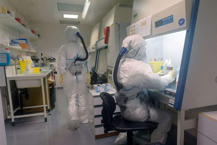 Imaginea articolului Austria şi Croaţia raportează primele cazuri de coronavirus