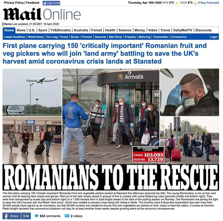 Imaginea articolului Culmea ironiei. Daily Mail care a criticat migranţii români acum scrie că sezonierii români salvează recolta britanicilor