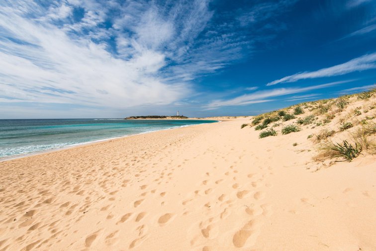 Imaginea articolului „Daună brutală pentru ecosistem”. O plajă din Spania a fost stropită cu clor. Ecologiştii spun că acesta a ucis şi insectele din zonă