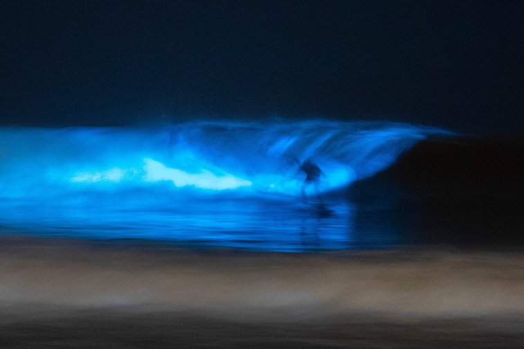 Imaginea articolului Imagini feerice în California. Valuri bioluminiscente fascinează vizitatorii: „Nu am văzut niciodată aşa ceva”