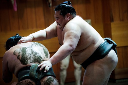 Imaginea articolului A murit primul luptător de sumo din cauza COVID-19. Avea doar 28 de ani