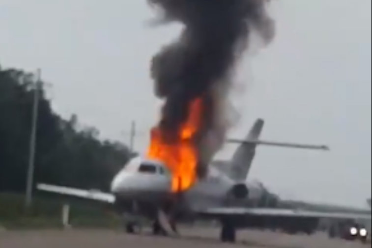 Imaginea articolului VIDEO: Descoperirea militarilor mexicani, după ce un avion care zbura ilegal a luat foc. La mijloc sunt sume uriaşe de bani