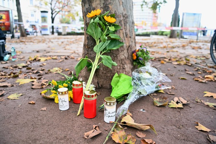 Imaginea articolului Viena este şocată în urma atacului terorist. Mesajul lui Isabel Rauscher, ambasadorul Austriei în România