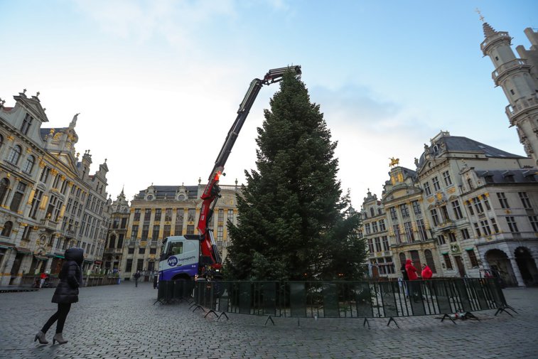 Imaginea articolului Bradul de Crăciun de la Bruxelles va fi împodobit astăzi