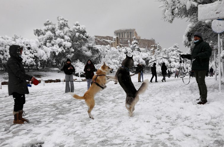 Imaginea articolului VIDEO Ninsori puternice în Grecia. Localnicii au ales să vadă partea plină a paharului şi s-au bucurat de zăpadă