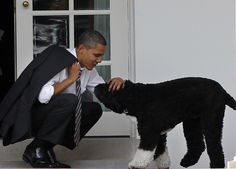 Imaginea articolului A murit Bo, câinele familiei Obama. Avea 13 ani şi fusese adoptat după alegerile din 2008