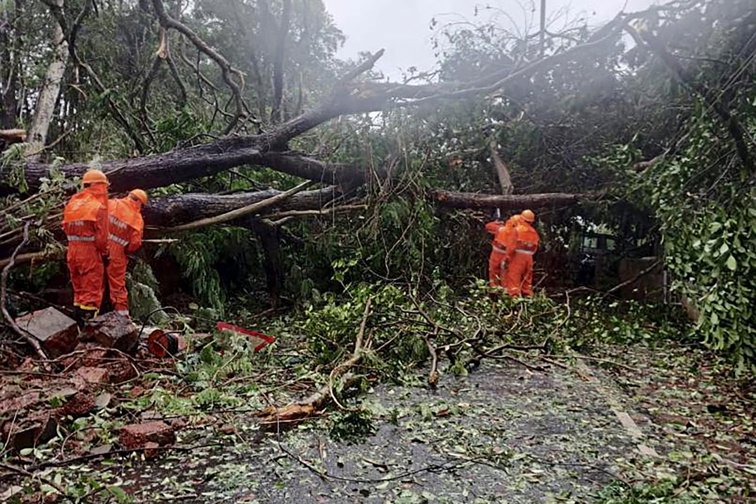 Imaginea articolului India a fost lovită de un ciclon puternic. Mai mute persoane şi-au pierdut viaţa