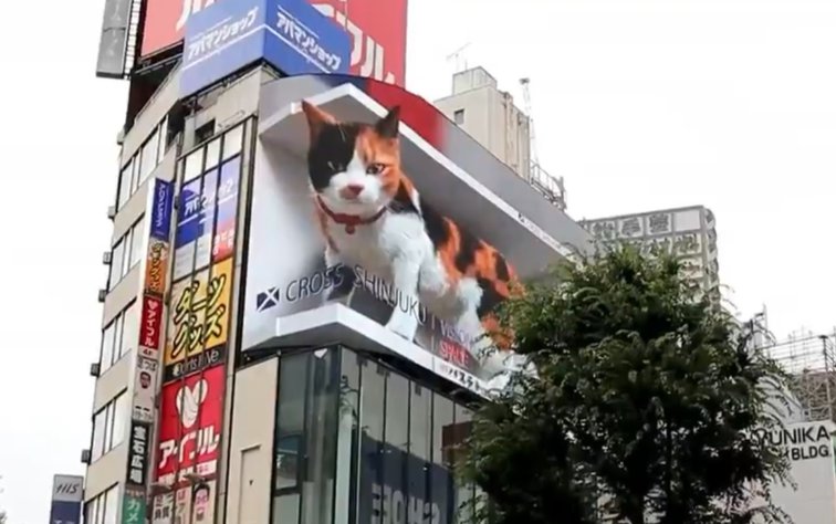 Imaginea articolului VIDEO „Pisica Shinjuku”, felina hiper-realistă care veghează străzile oraşului Tokyo
