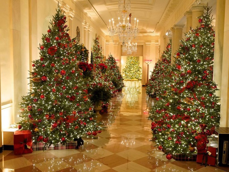 Imaginea articolului Prima doamnă a Americii, Jill Biden, spune cum este împodobită Casa Albă în aşteptarea Crăciunului