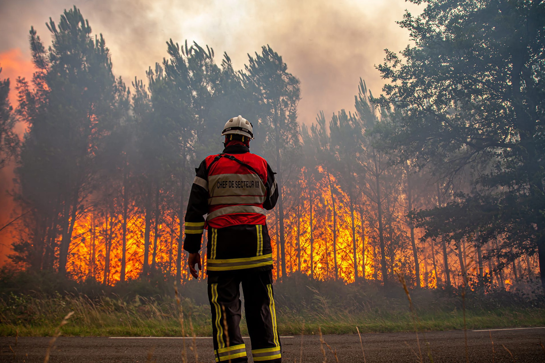 Incendiile de vegetaţie fac ravagii în Franţa, mii de persoane au fost evacuate din locuinţe