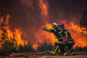 Imaginea articolului Un incendiu de vegetaţie din Portugalia învăluie în fum zgârie-norii din Madrid 