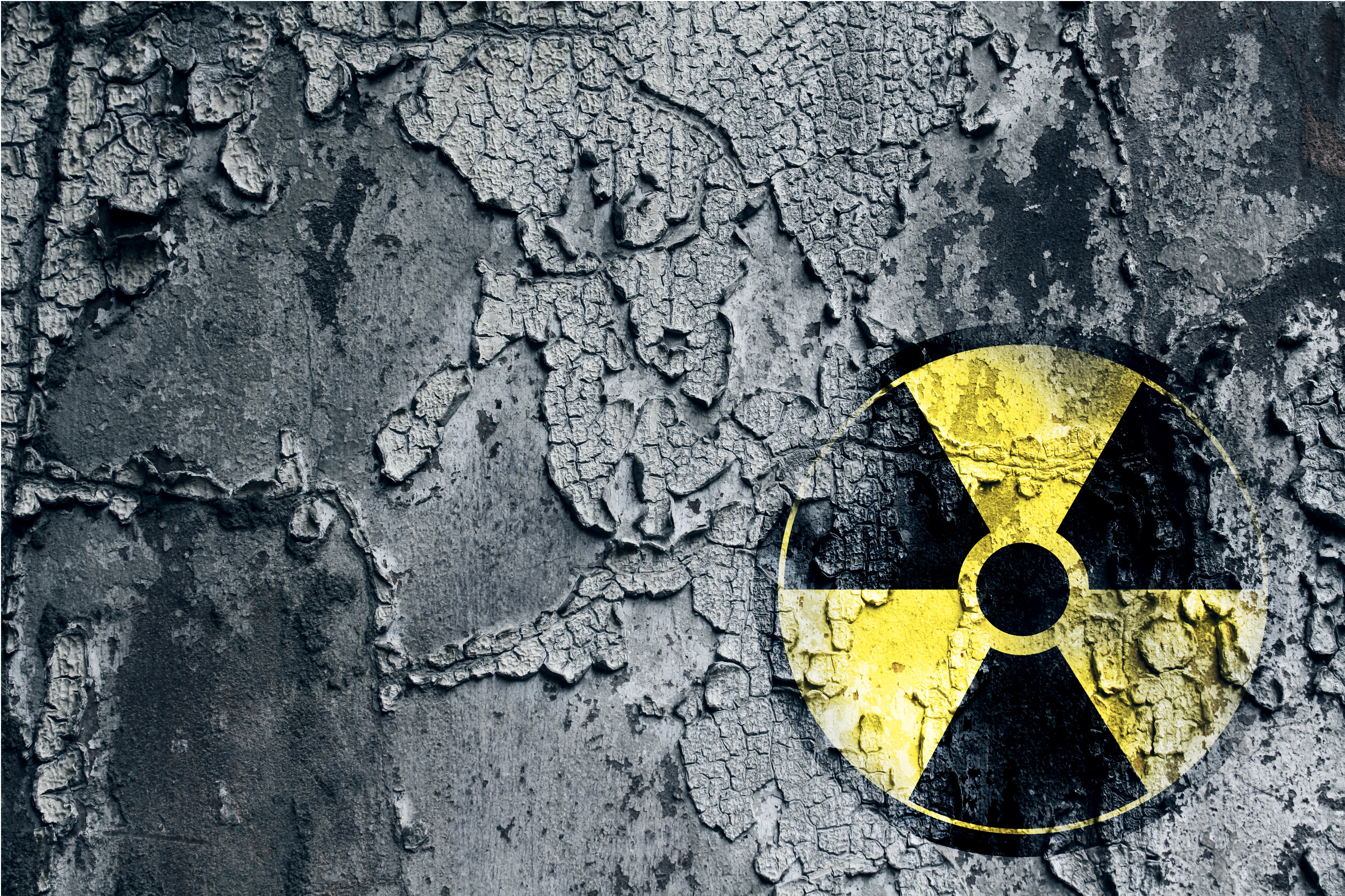 Autorităţile ucrainene efectuează exerciţii de intervenţie în caz de dezastru nuclear