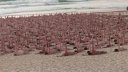 Imaginea articolului Bondi Beach, transformată în plajă pentru nudişti

