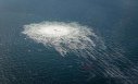 Imaginea articolului Câştigător al Premiului Pulitzer: SUA se află în spatele exploziei de la Nord Stream

