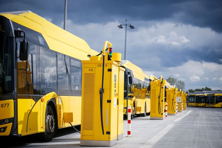 Imaginea articolului Germania va lansa de luni una dintre cele mai accesibile oferte de transport în comun din lume