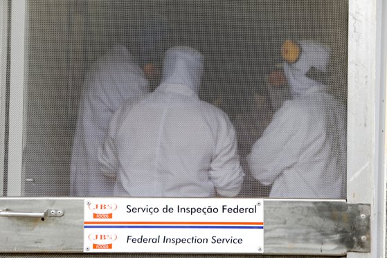 Imaginea articolului Brazilia sporeşte măsurile împotriva gripei aviare. Cum vor să protejeze autorităţile cea mai mare industrie avicolă din lume