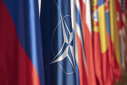Imaginea articolului Zelenski crede că Ucraina ar trebui să devină membră NATO / Germania îi transmite că nu e posibil