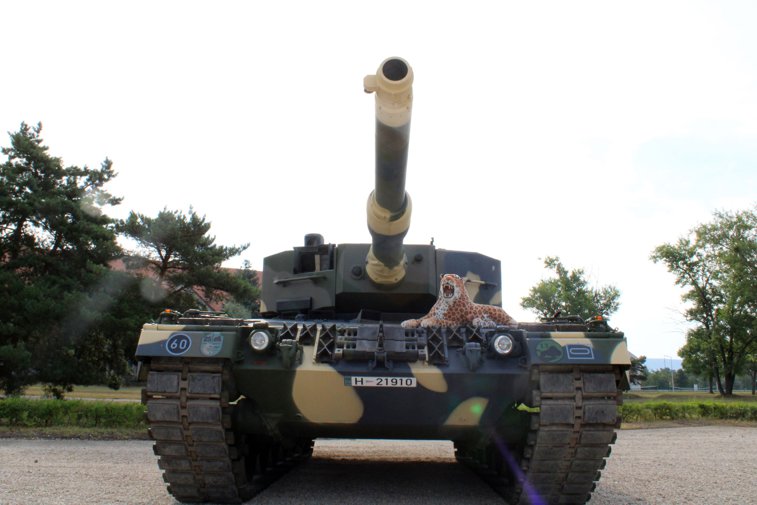 Imaginea articolului Rusia anunţă capturarea unor tancuri Leopard / Germania nu va putea înlocui toate tancurile pierdute