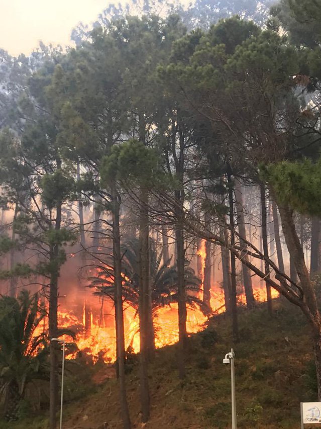 Σε κατάσταση έκτακτης ανάγκης κηρύσσεται η Ρόδος καθώς έξι νέες ελληνικές περιφέρειες αντιμετωπίζουν «ακραίο» κίνδυνο πυρκαγιών