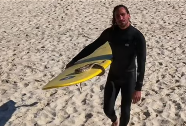 Un bărbat australian a fost amendat după ce a făcut surf cu pitonul său|EpicNews