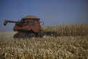 Imaginea articolului Comisarul UE pentru Agricultură propune o schimbare de politică, pe fondul protestelor fermierilor