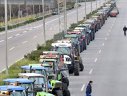 Imaginea articolului Mii de fermieri au protestat la Varşovia faţă de importurile de alimente din Ucraina şi normele UE