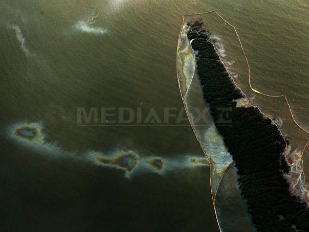 Imaginea articolului SUA au demarat o anchetă judiciară privind mareea neagră din Golful Mexic