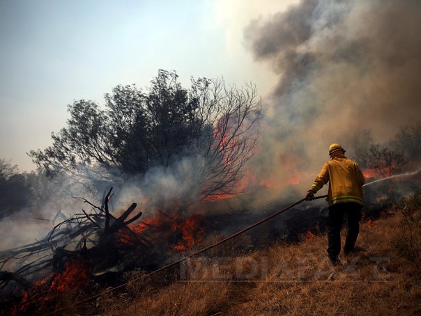Imaginea articolului Aproximativ 4.500 de pompieri, mobilizaţi în vestul Statelor Unite pentru stingerea incendiilor