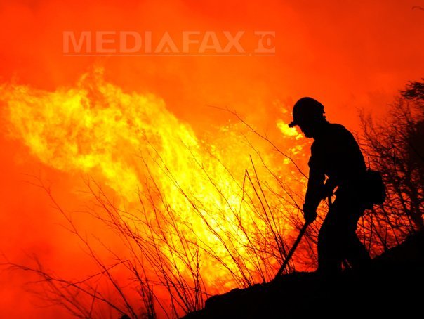 Imaginea articolului Incendii grave de pădure în Croaţia: Un pompier a murit, iar 1.500 de turişti au fost evacuaţi
