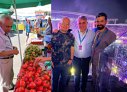 Imaginea articolului COMENTARIU Sorin Avram: Cu domnul Domnul Lucian (Bode) la Untold şi cu nea Petrică (Daea) în piaţa din Târgu-Jiu