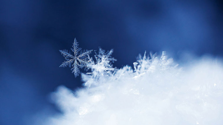 Imaginea articolului COMENTARIU Lelia Munteanu: Albă ca Zăpada
