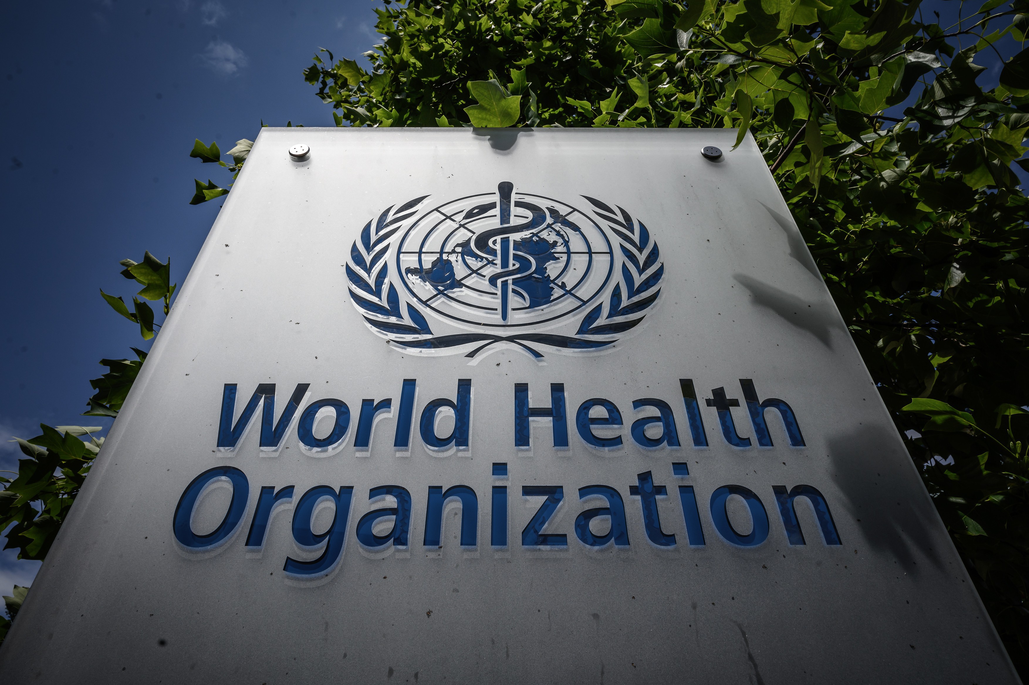 OMS: Peste 6.000 de cazuri de variola maimuţei. Reuniune de urgenţă
