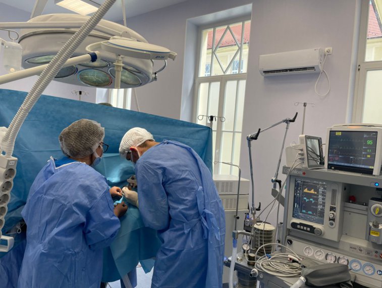 Imaginea articolului Sibiu: Ficat, rinichi şi cornee, prelevate de la un pacient în moarte cerebrală 