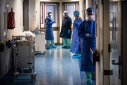 Imaginea articolului Prima prelevare de organe din acest an la Spitalul Universitar de Urgenţă Elias 