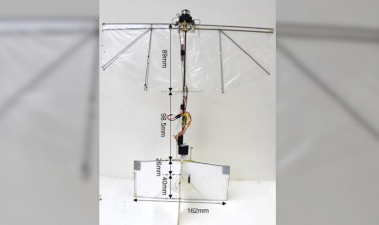 Imaginea articolului Robotul care poate plana şi se poate roti, exact ca o pasăre. Ce plănuiesc cercetătorii pentru el