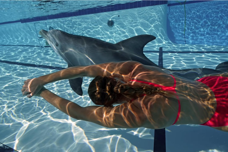 Imaginea articolului Viitor fără compromisuri în parcurile acvatice: Delfinul-robot care le-ar putea lua locul în captivitate celor adevăraţi