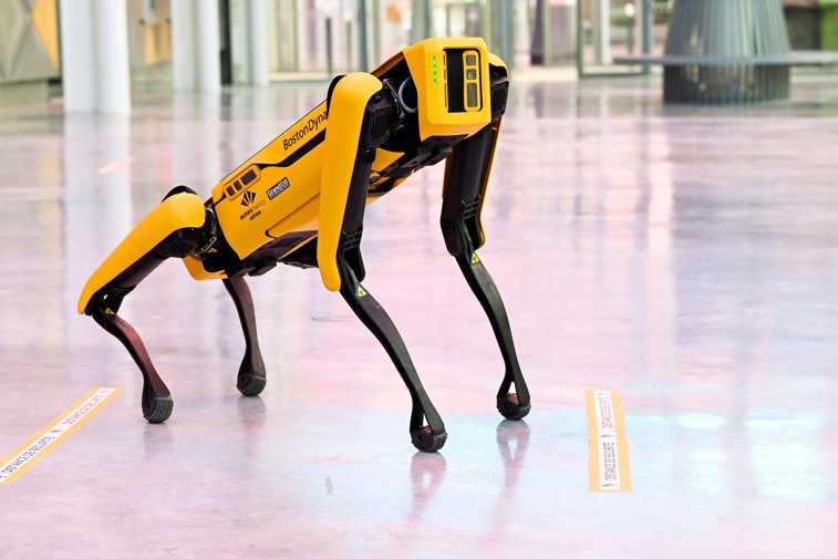 Imaginea articolului Spot este câinele-robot de la Cernobâl. Misiunea sa este să contureze o hartă 3D a radiaţiilor de la reactorul 4