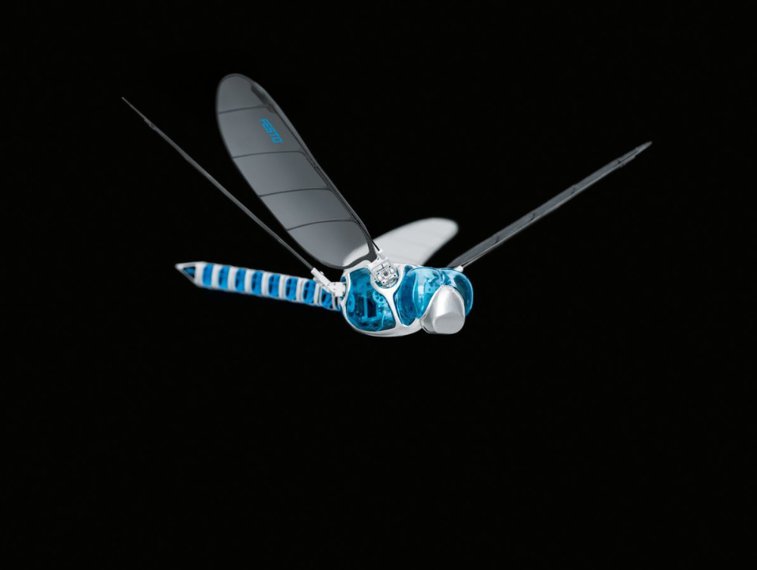 Imaginea articolului Un zoolog studiază zborul libelulor pentru a dezvolta cele mai performante drone