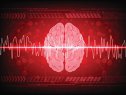 Imaginea articolului O nouă interfaţă creier-computer a stabilit un nou record în ceea ce priveşte conversia gândurilor în vorbire