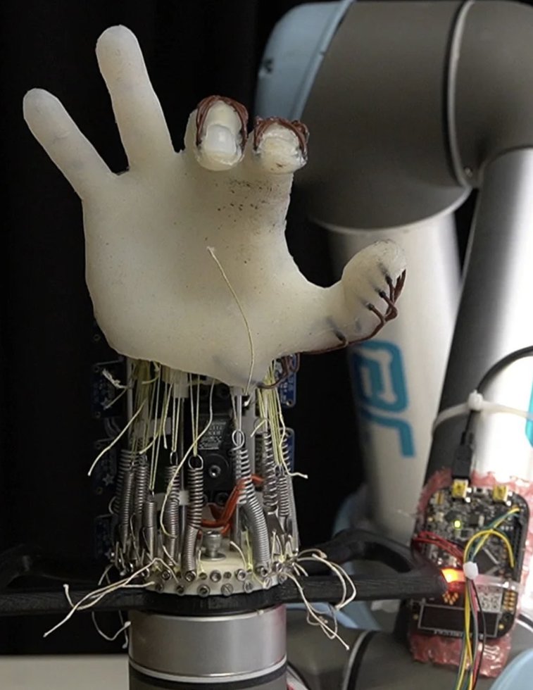 Imaginea articolului Mâna robotizată care poate prinde obiecte cu ajutorul mişcării încheieturii 