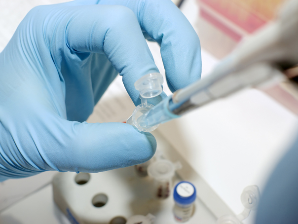 Imaginea articolului Belgienii au descoperit un anticorp care ar proteja de noul coronavirus / Tratamentul poate proteja în special personalul medical
