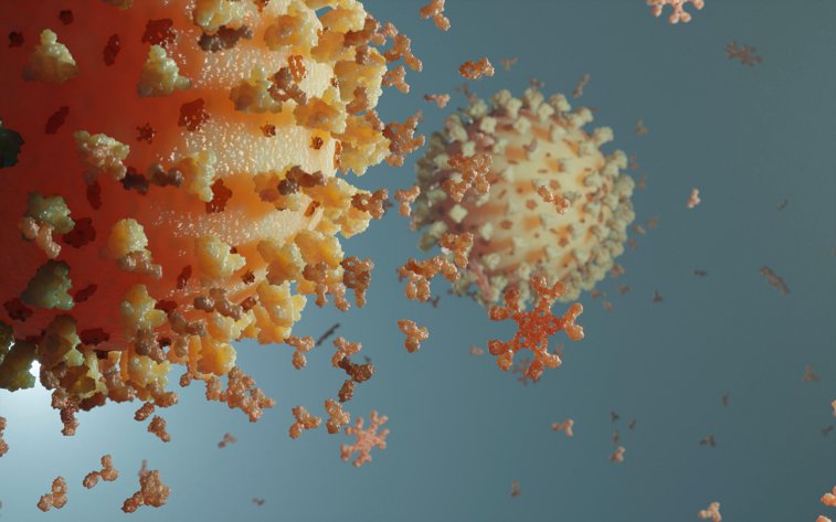 Imaginea articolului Coronavirus: 12.700 de mutaţii inofensive ale SARS-CoV-2. Specialist: „Dacă ştim cum se modifică, putem găsi rapid soluţii”