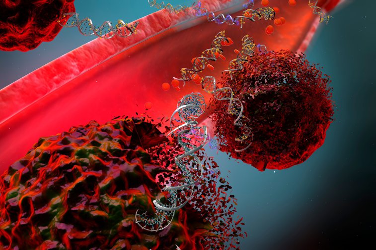 Imaginea articolului Veşti bune: Celulele T sunt eficace şi contra noilor tulpini de coronavirus