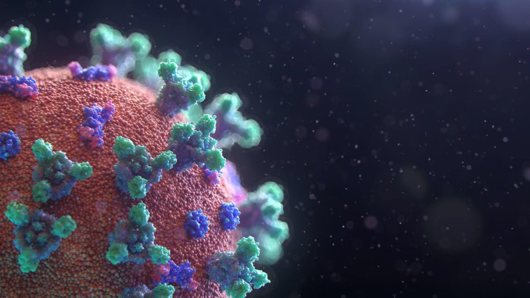 Imaginea articolului OMS: Varianta indiană a virusului este mai contagioasă şi ar putea reduce eficienţa vaccinurilor