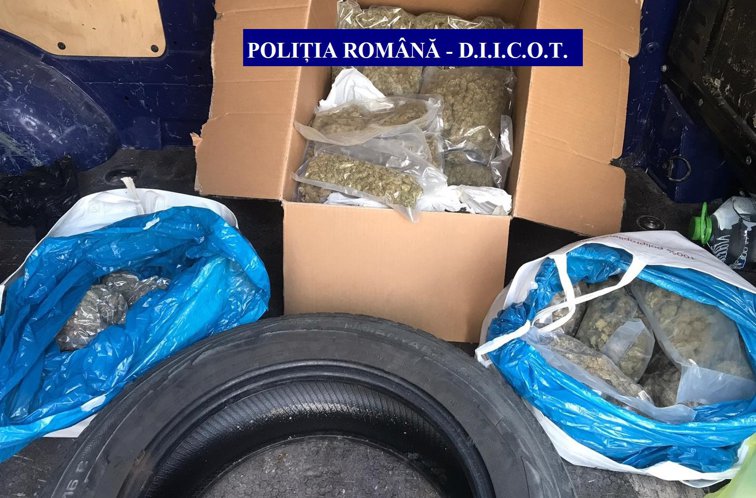 Imaginea articolului Cluj: Percheziţii la persoane bănuite de trafic de droguri. Şapte suspecţi au fost reţinuţi
