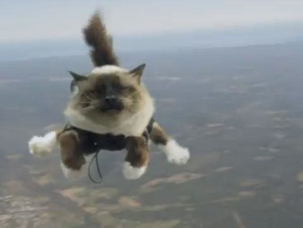 Imaginea articolului VIDEOCLIP AMUZANT: Pisici sărind cu PARAŞUTA din avion, într-o reclamă