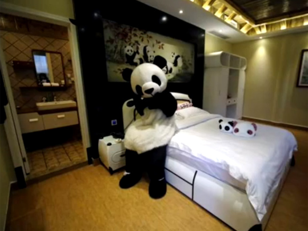 Imaginea articolului Primul hotel din lume care are ca tematică ursul panda a fost inaugurat în China - VIDEO 